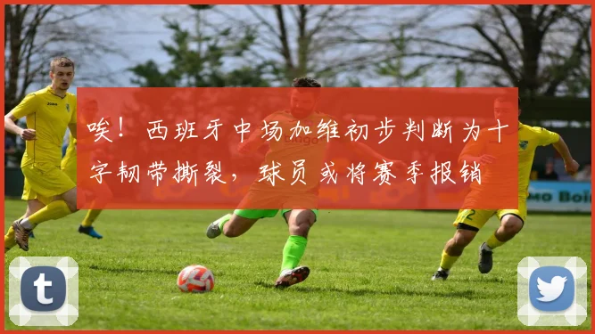 唉！西班牙中场加维初步判断为十字韧带撕裂，球员或将赛季报销