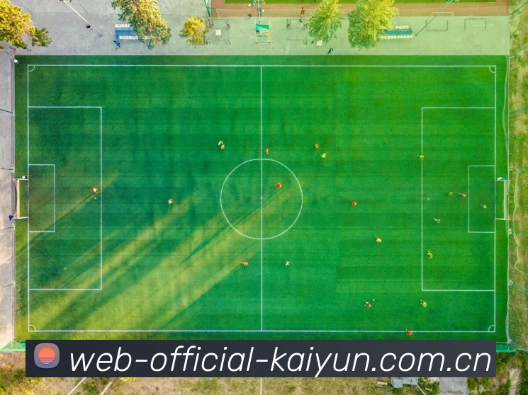 开云(kaiyun)官方体育 App